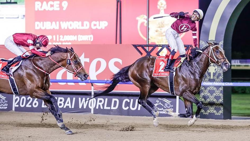 Magnitude, Dubai World Cup, Breeders' Cup Classic, horse racing, America's Best Racing, ABR